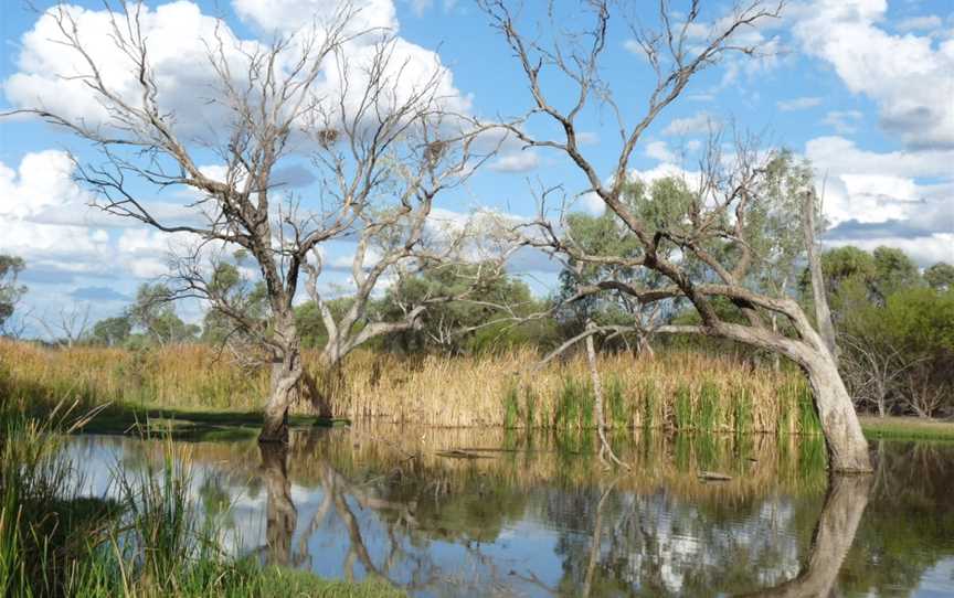 Lagoon Creek, Barcaldine, QLD