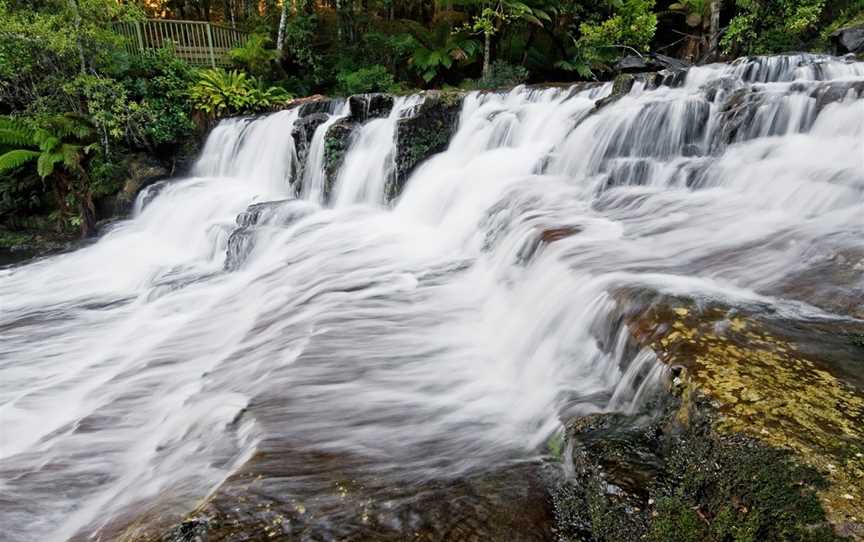 Liffey Falls, Liffey, TAS