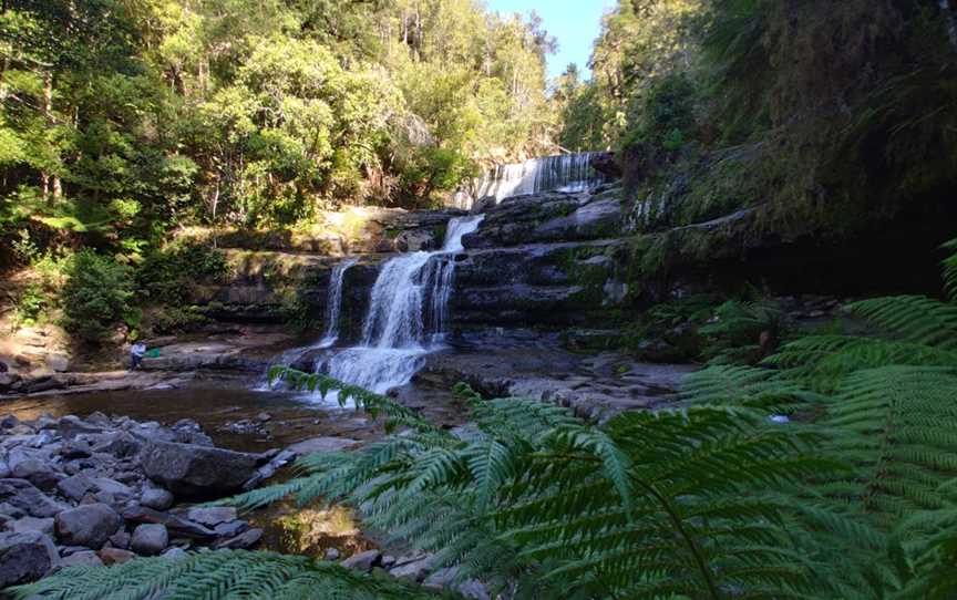 Liffey Falls, Liffey, TAS