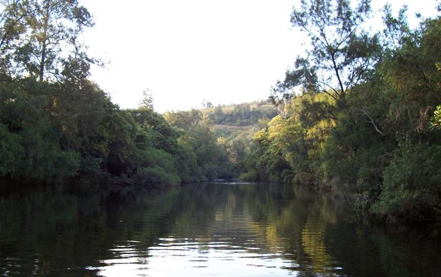 Barrington Tops National Park, Chichester, NSW