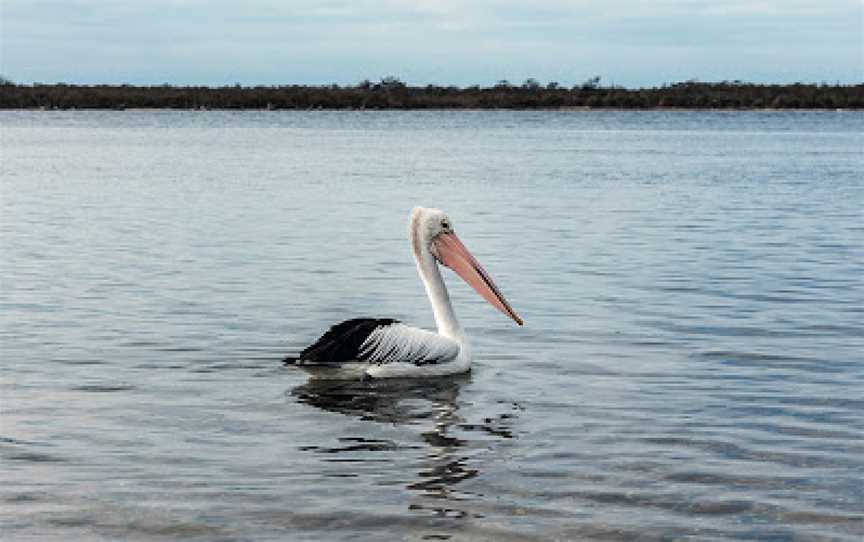 The Lakes National Park, Loch Sport, VIC