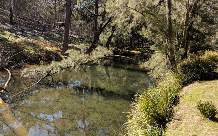 Turon National Park, Capertee, NSW