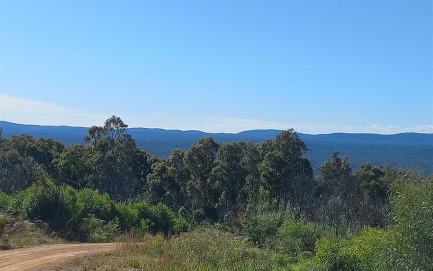 Big Bit Lookout, Benandarah, NSW