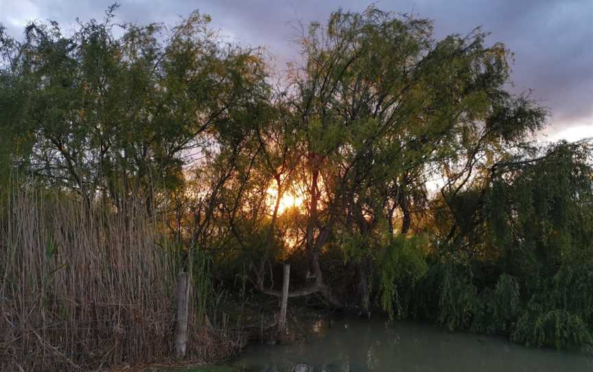 Thiele Reserve, Murray Bridge, SA