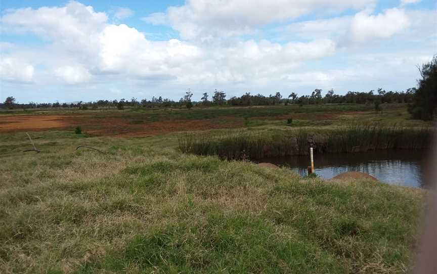 Everlasting Swamp National Park, Lower Southgate, NSW