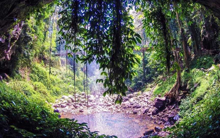 Crystal Shower Falls Walk, Dorrigo Mountain, NSW