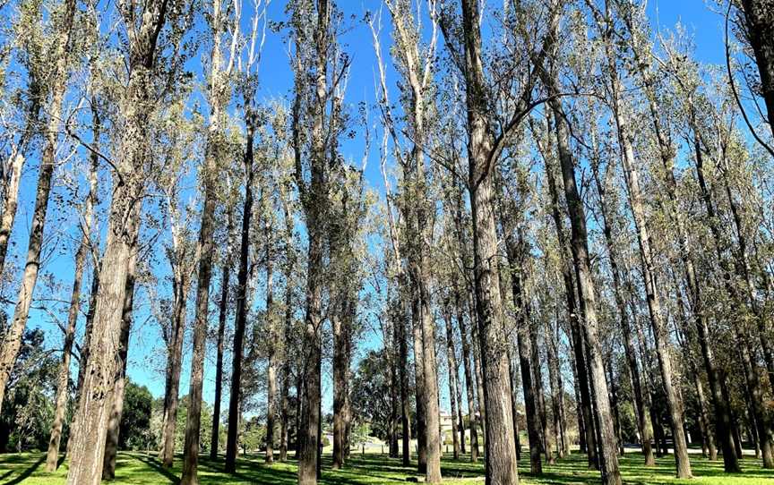 John Tucker Park, Paterson, NSW