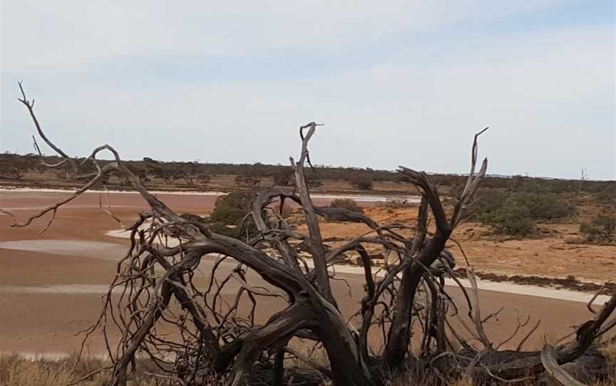 Murray-Sunset National Park, Linga, VIC