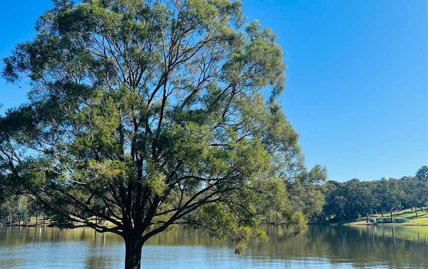 Lake Maroon, Maroon, QLD