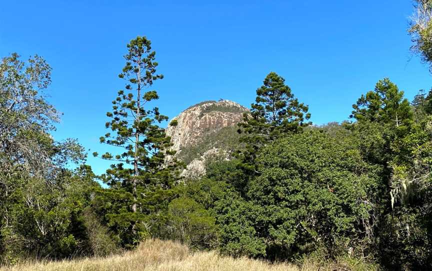 Mount Walsh National Park, Biggenden, QLD