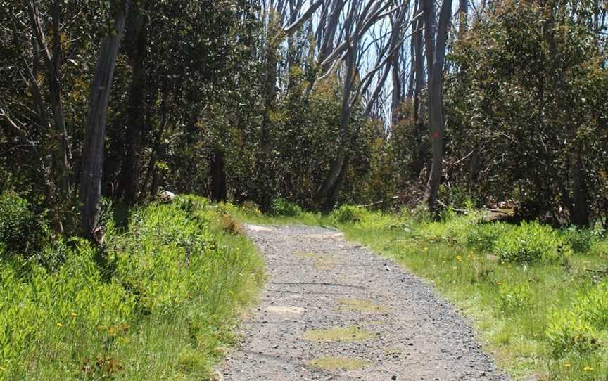 Lake Mountain Summit Walk, Marysville, VIC