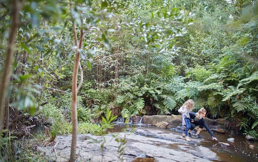 Masons Falls, Kinglake West, VIC