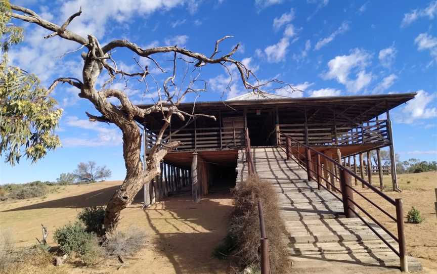 Kinchega National Park, Menindee, NSW