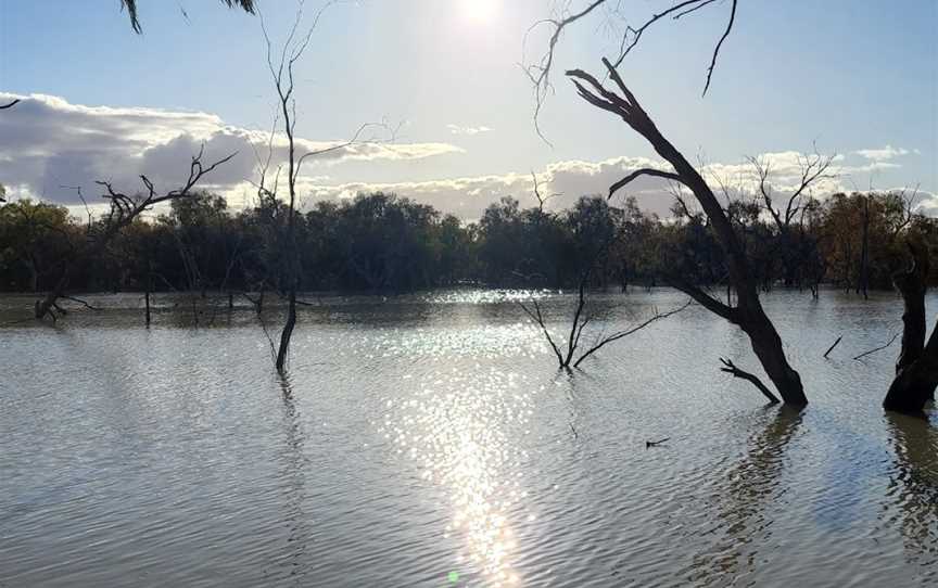 Morton Boulka picnic area, Menindee, NSW