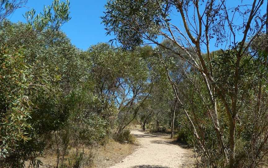 Meningie Lions Walking Trail, Meningie, SA