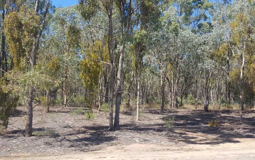 Reef Hills State Park, Benalla, VIC