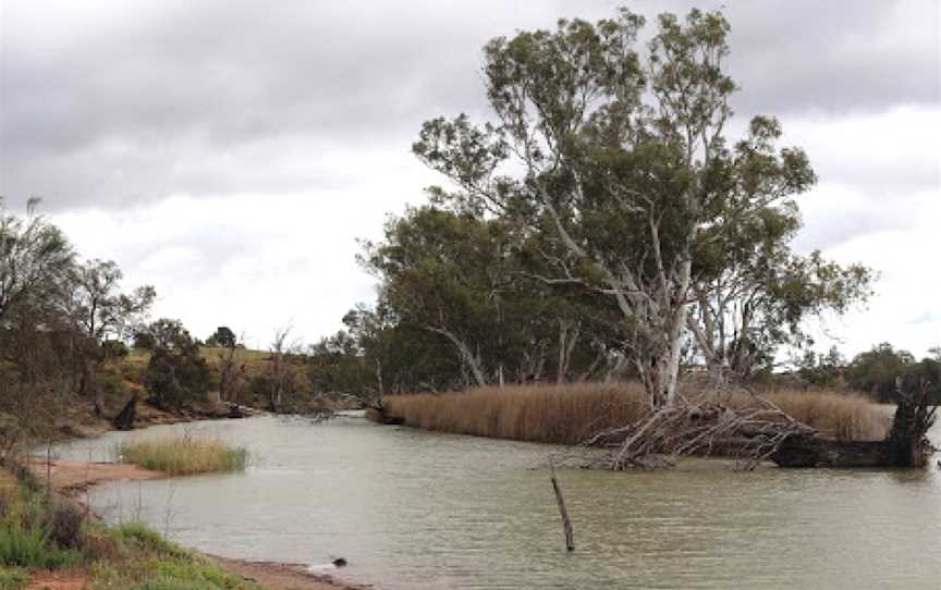 Milich's Landing and Daisy Bates Reserve, Pyap, SA