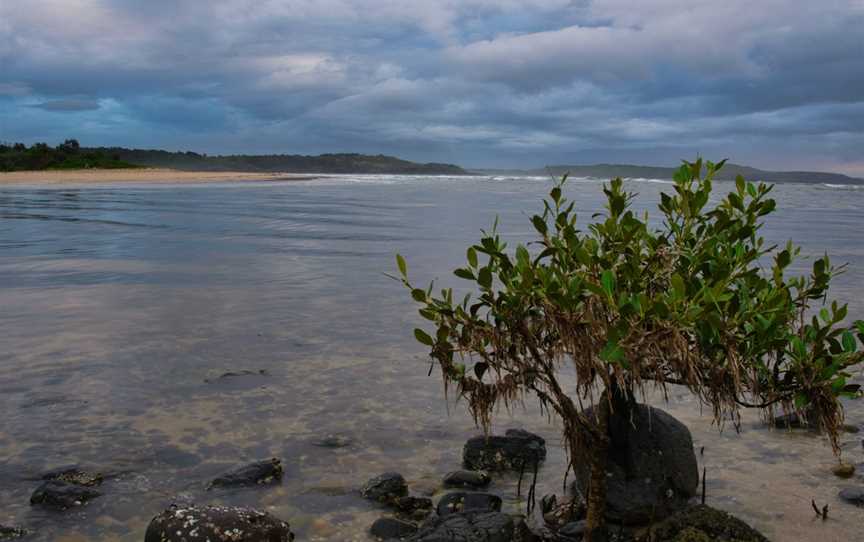 Minnamurra River, Minnamurra, NSW