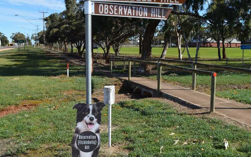 Observation Hill & Lookout, Cleve, SA