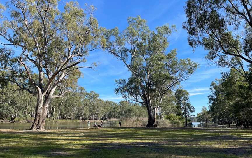 Barmah National Park, Barmah, VIC