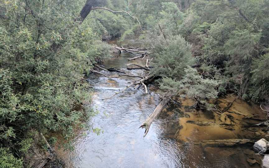 Moondarra State Park, Moondarra, VIC