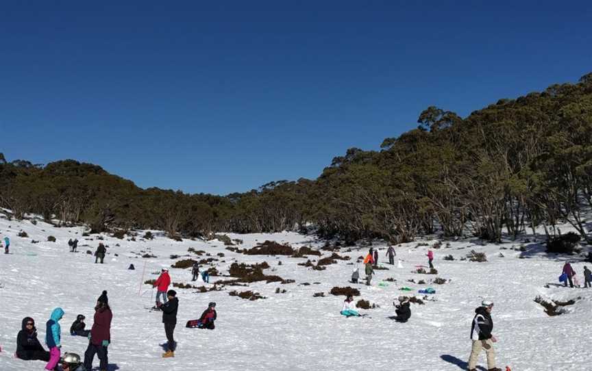 Moondarra State Park, Moondarra, VIC