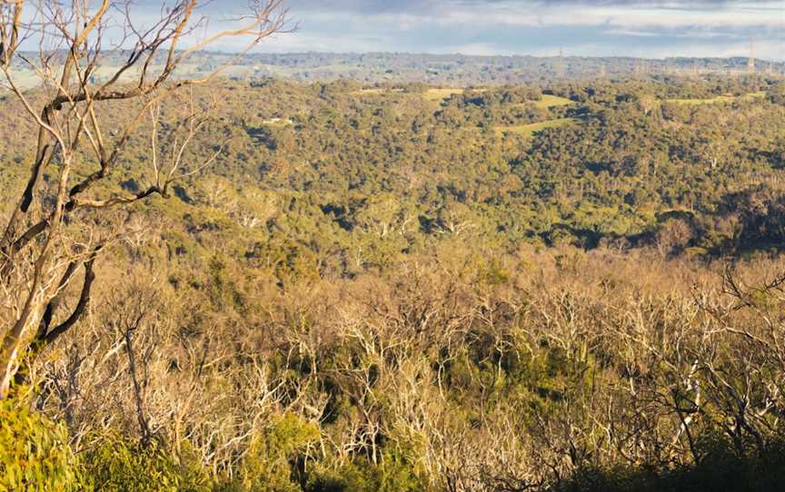 Scott Creek Conservation Park, Dorset Vale, SA