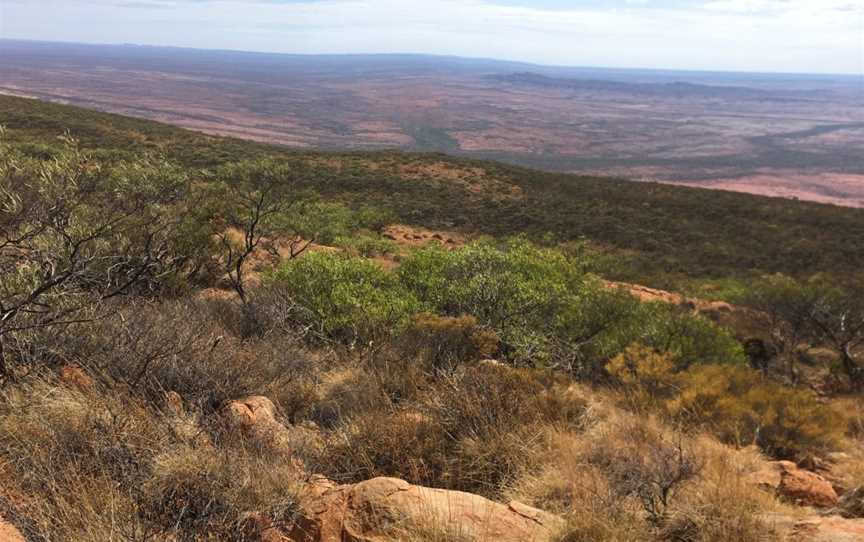 Mount Augustus, East Lyons River, WA