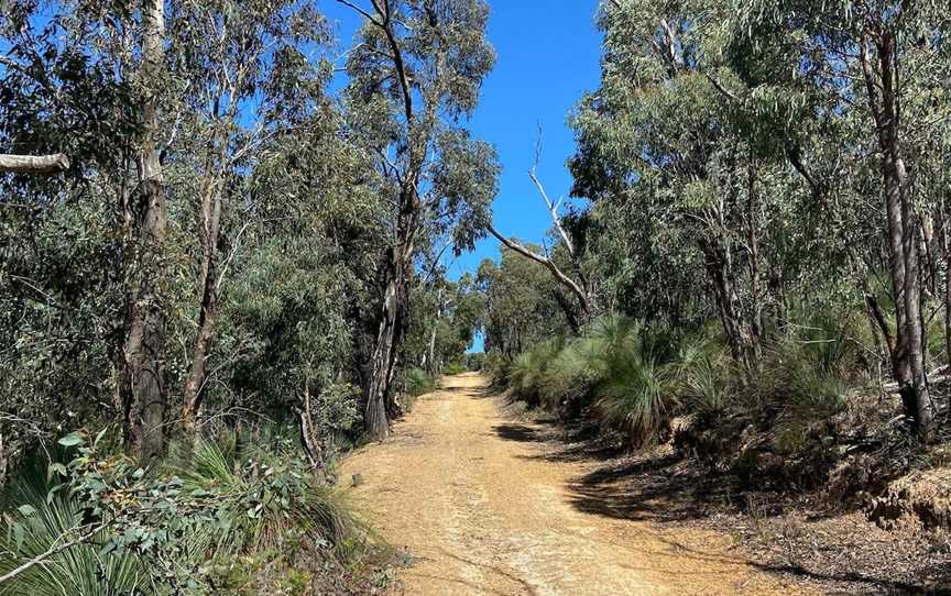 Mt Everard Circuit, Kinglake, VIC