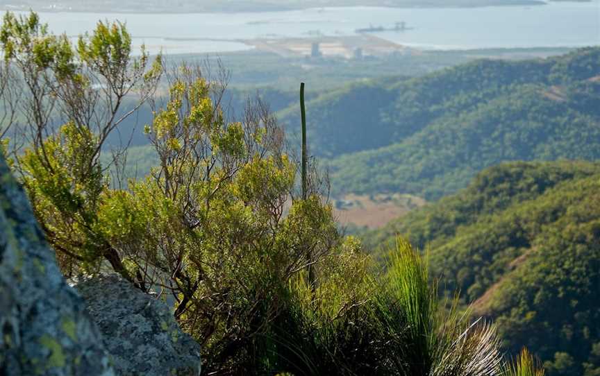 Mount Larcom Climb, Mount Larcom, QLD