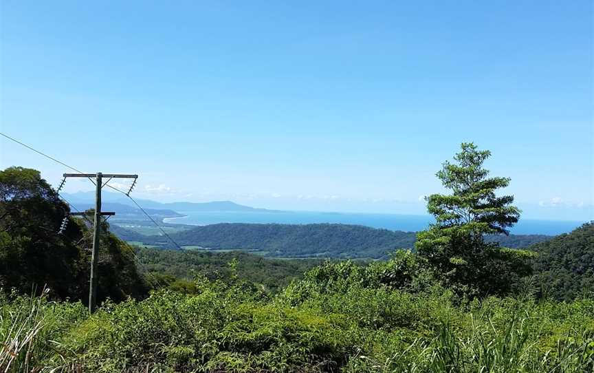 Mount Lewis National Park, Julatten, QLD