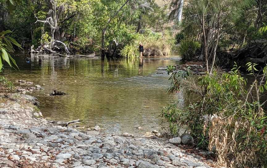 Mount Lewis National Park, Julatten, QLD