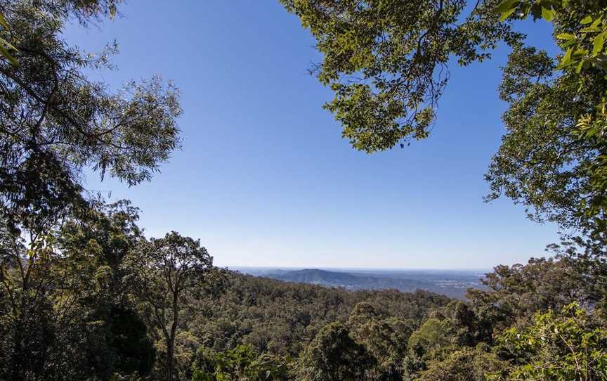 Thylogale Track, Mount Nebo, QLD