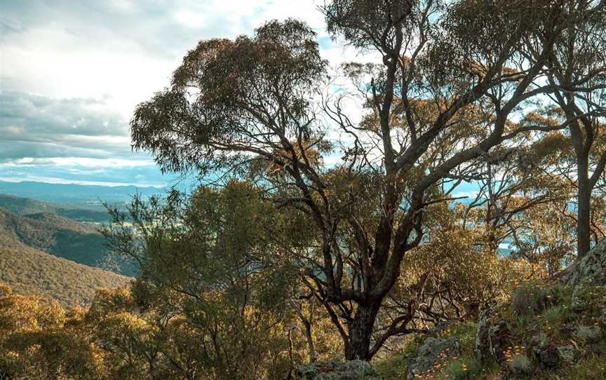 Mount Samaria  Walking Track, Samaria, VIC