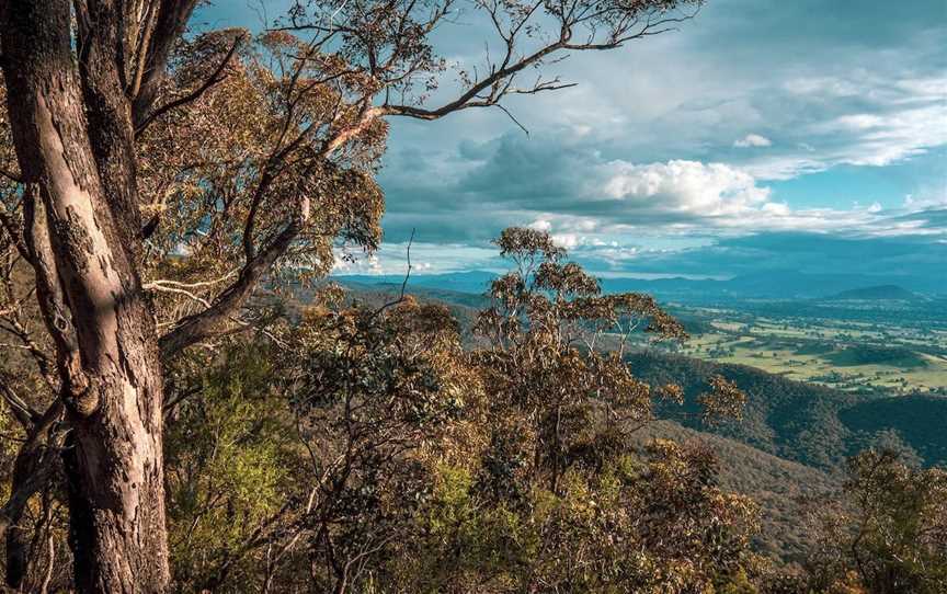 Mount Samaria  Walking Track, Samaria, VIC