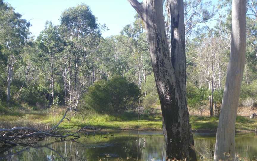 Nanango Fauna Reserve, Nanango, QLD