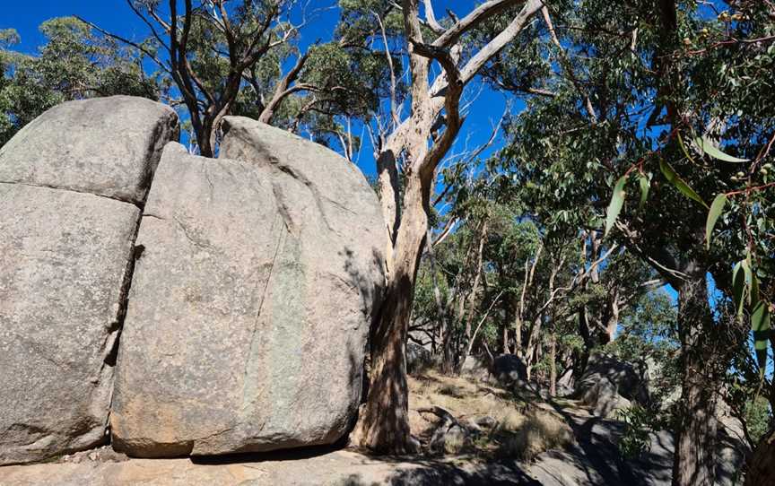 Mount Alexander Regional Park, Harcourt, VIC