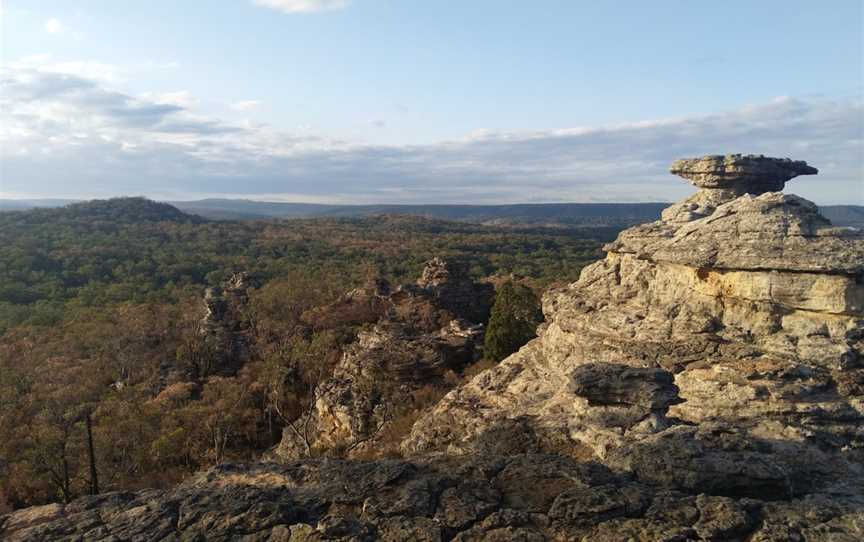 Munghorn Gap Nature Reserve, Munghorn, NSW