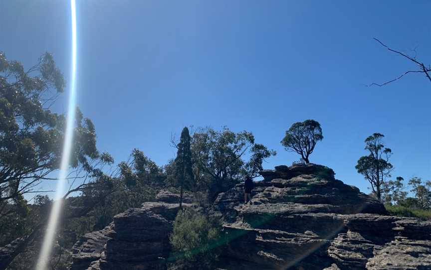 Munghorn Gap Nature Reserve, Munghorn, NSW