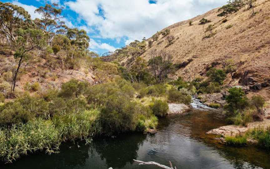 Werribee Gorge State Park, Pentland Hills, VIC