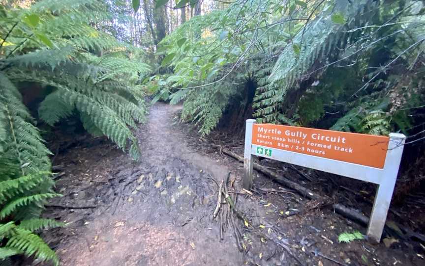 Myrtle Gully Circuit, Toolangi, VIC