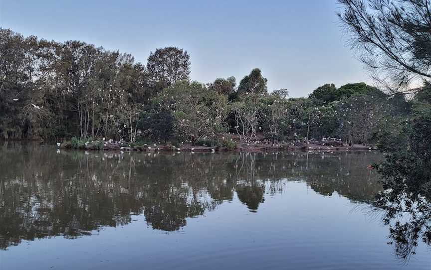 Fay Smith Wetlands, Maryborough, QLD