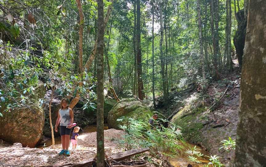 Newbys Creek walk and caves, Lansdowne Forest, NSW