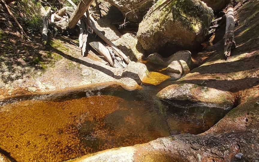 Newbys Creek walk and caves, Lansdowne Forest, NSW