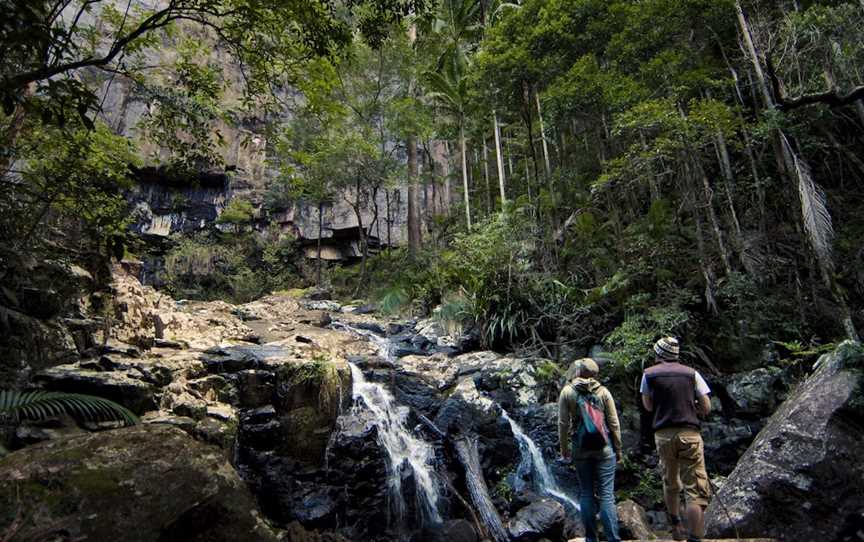 Protesters Falls, The Channon, NSW