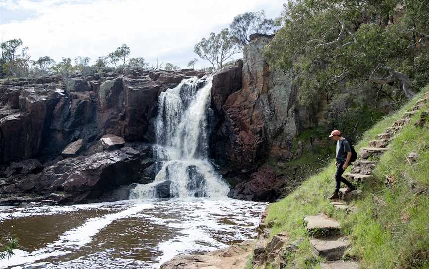 Nigretta Falls, Bochara, VIC