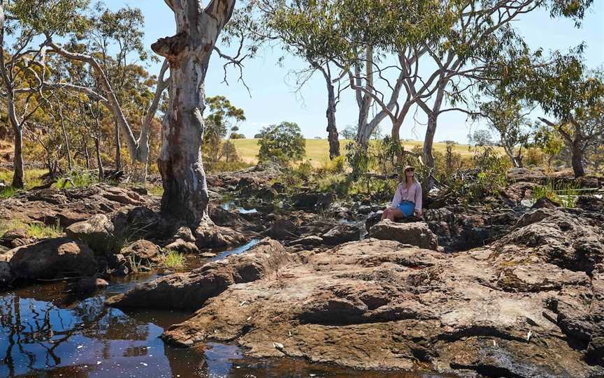 Nigretta Falls, Bochara, VIC