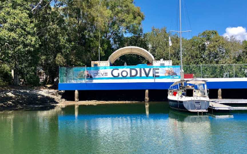 Nine Mile Reef Dive Site, Coolangatta, QLD