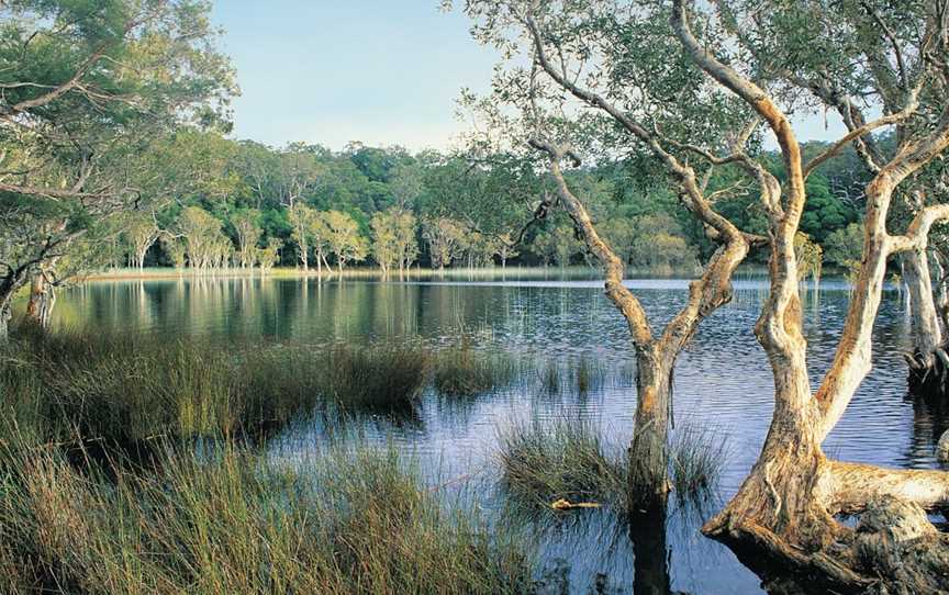 Cooloola, Great Sandy National Park, Noosa North Shore, QLD