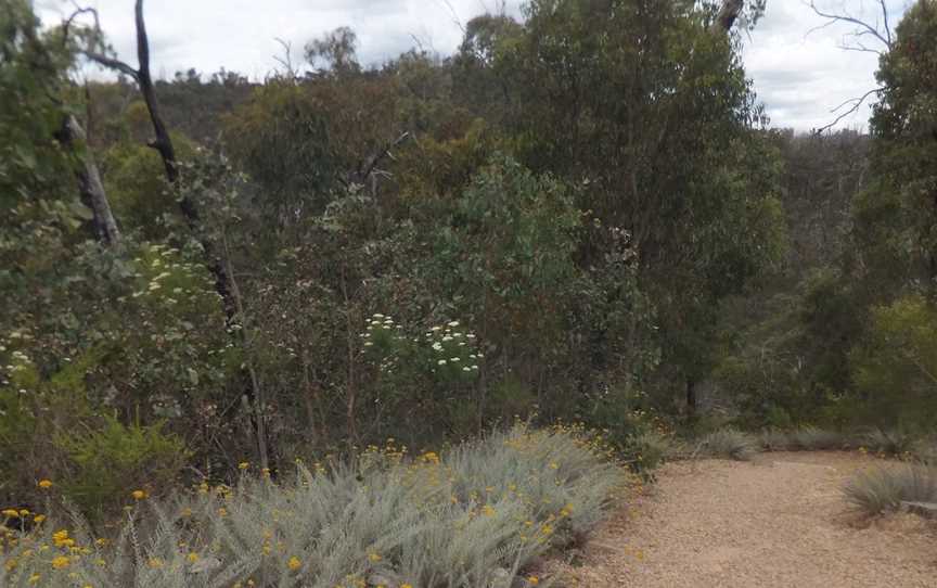 Mt Disappointment State Forest, Heathcote Junction, VIC